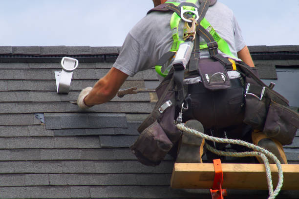 Best Emergency Roof Repair  in Albany, KY