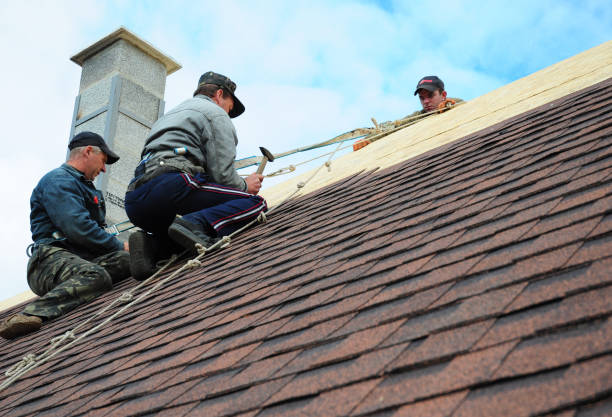 Best Commercial Roofing Services  in Albany, KY